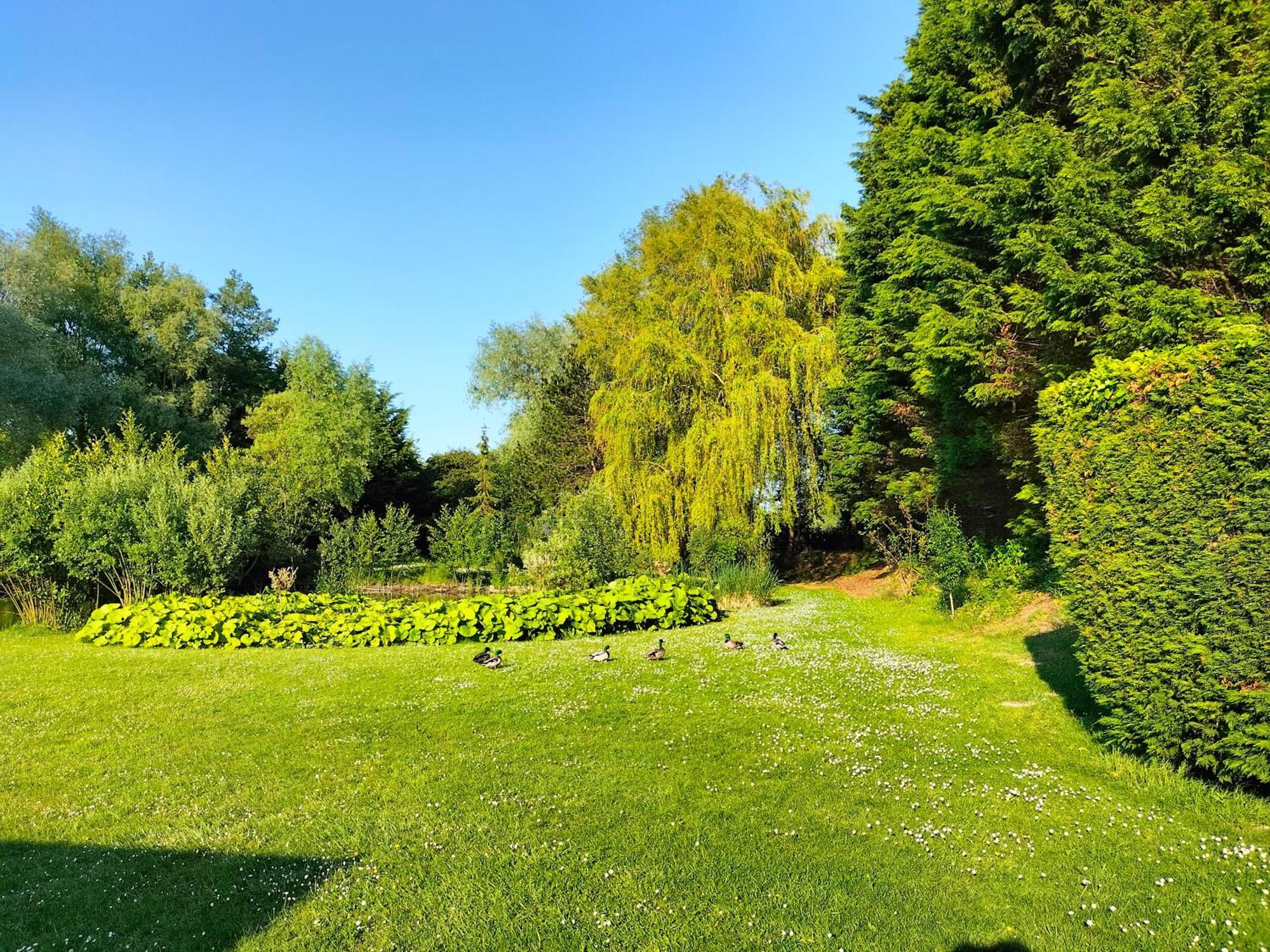 La Mouillere Bed & Breakfast Verton Exterior photo